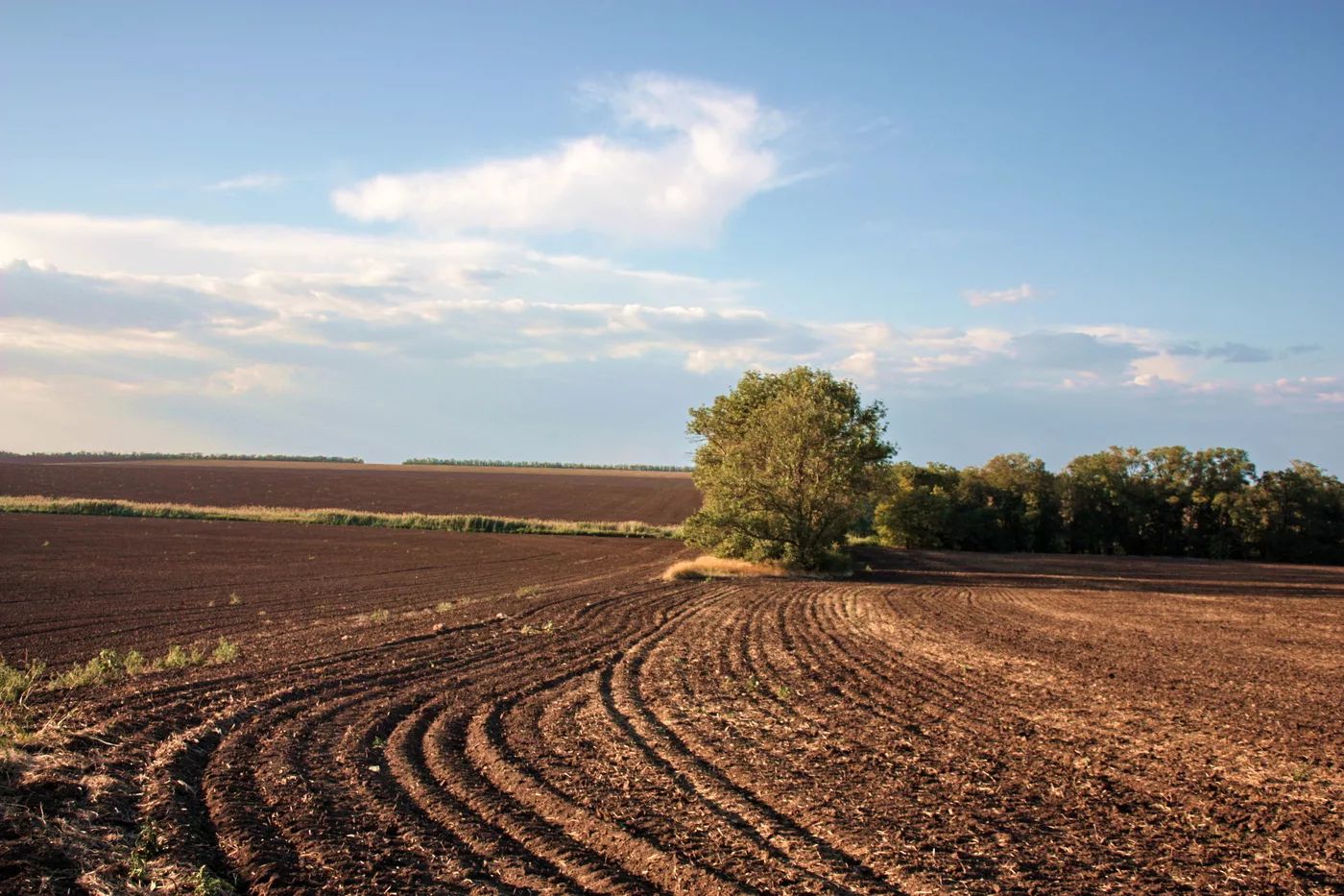  Zabux kəndi üzrə torpaqların əkin məqsədli istifadəyə verilməsi üçün sonuncu müraciətlərin qəbuluna başlanır