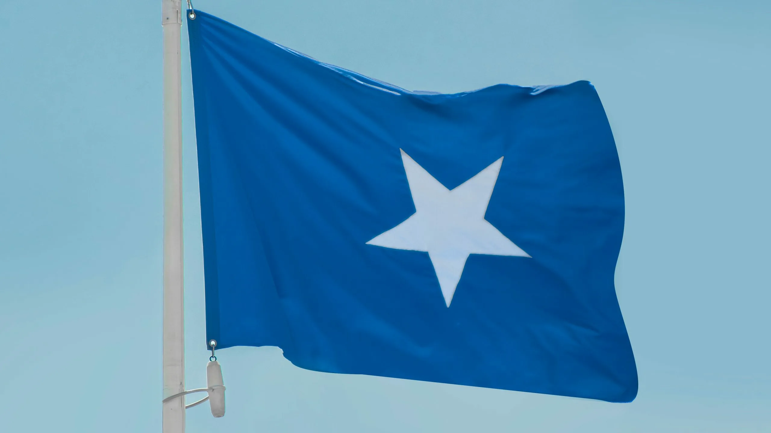 Somali təhlükəsizlik qüvvələri Əş-Şəbab liderlərini öldürüb