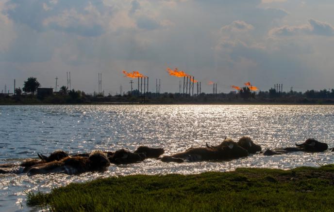 İraqın cənubundakı əsas neft yataqlarında neft hasilatı dayandırılıb