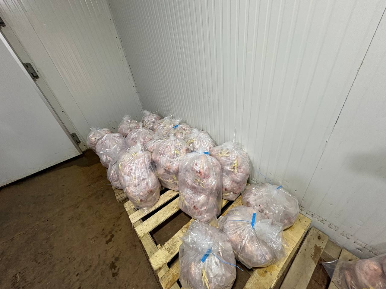 Lənkəranda toyuq kəsimi sexinin qanunsuz fəaliyyət göstərdiyi aşkarlanıb