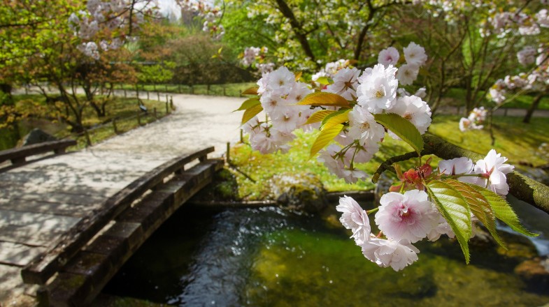 Sabah hava necə olacaq? - PROQNOZ
