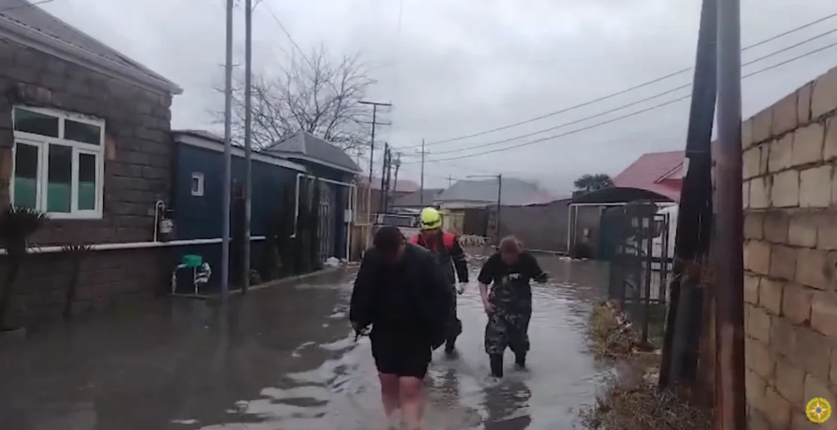 Fərdi yaşayış evlərinin həyətyanı sahələrini su basıb - VİDEO