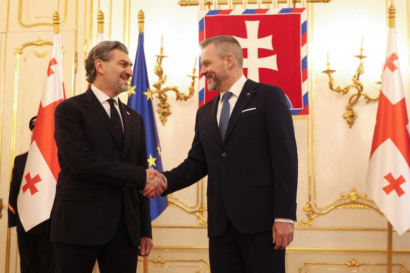 Gürcüstan və Slovakiya prezidentləri təkbətək görüş keçirib