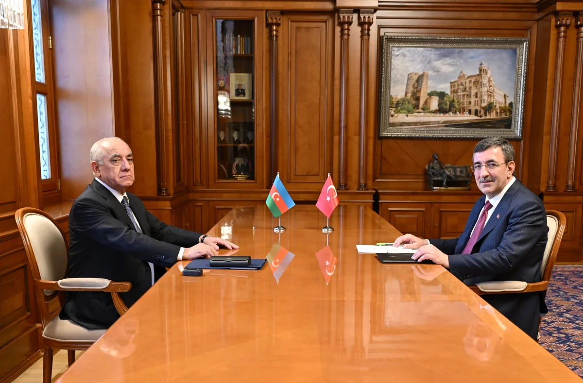 Əli Əsədov Türkiyənin vitse-prezidenti Cevdet Yılmazla görüşüb