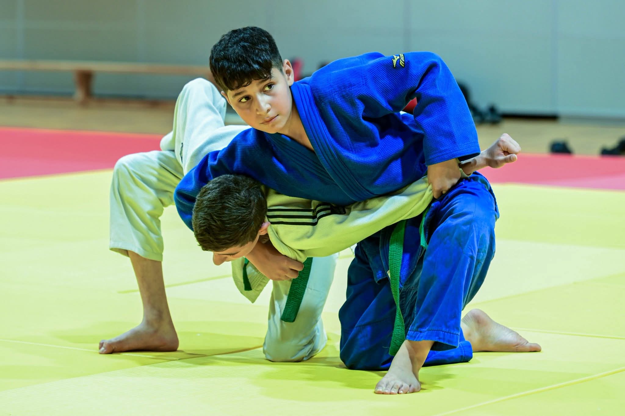 Azərbaycan Cüdo Federasiyası Gəncədə kəmər dərəcələri üzrə rəsmi imtahan təşkil edib