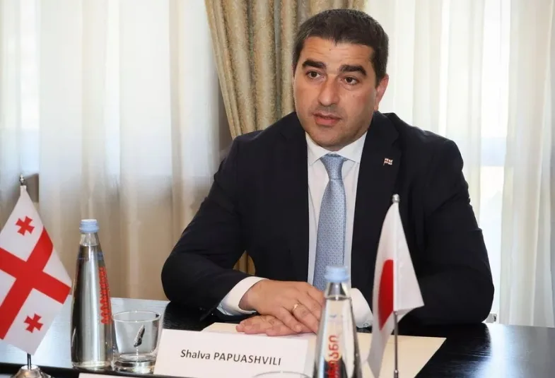 Gürcüstan Parlamentin sədri Türkiyəyə səfərə yola düşüb