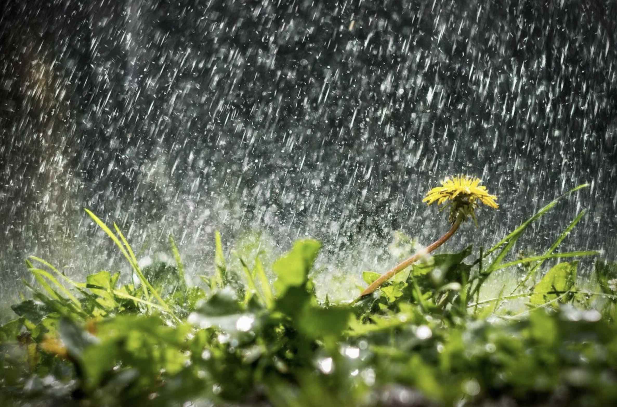  Bəzi yerlərdə qısamüddətli yağıntılar gözlənilir - PROQNOZ