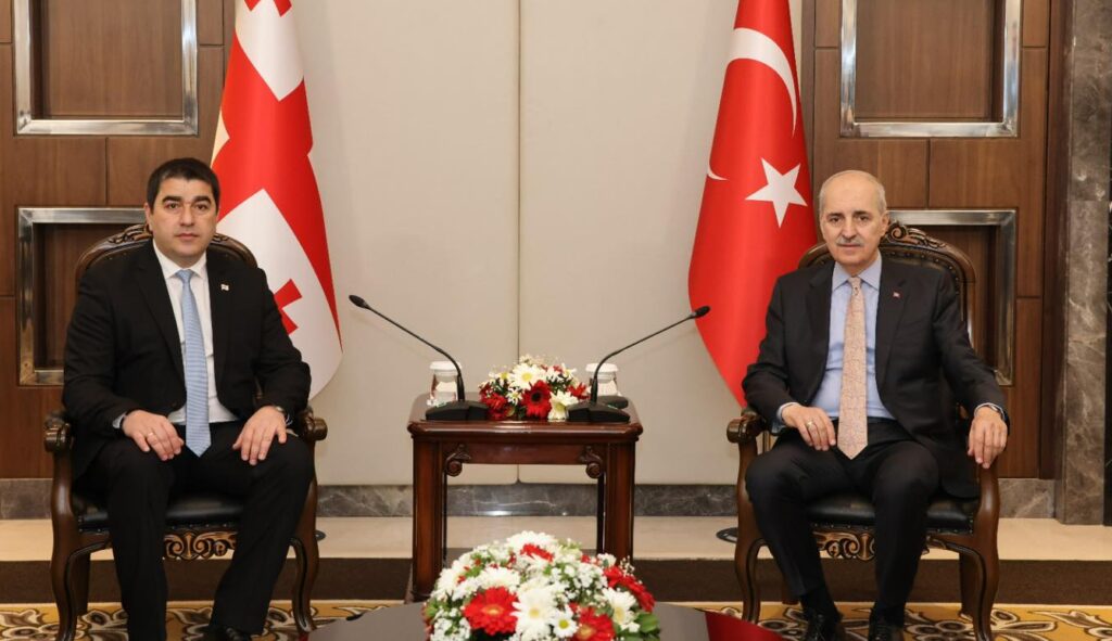 Şalva Papuaşvili Türkiyə Böyük Millət Məclisinin sədri ilə görüşüb