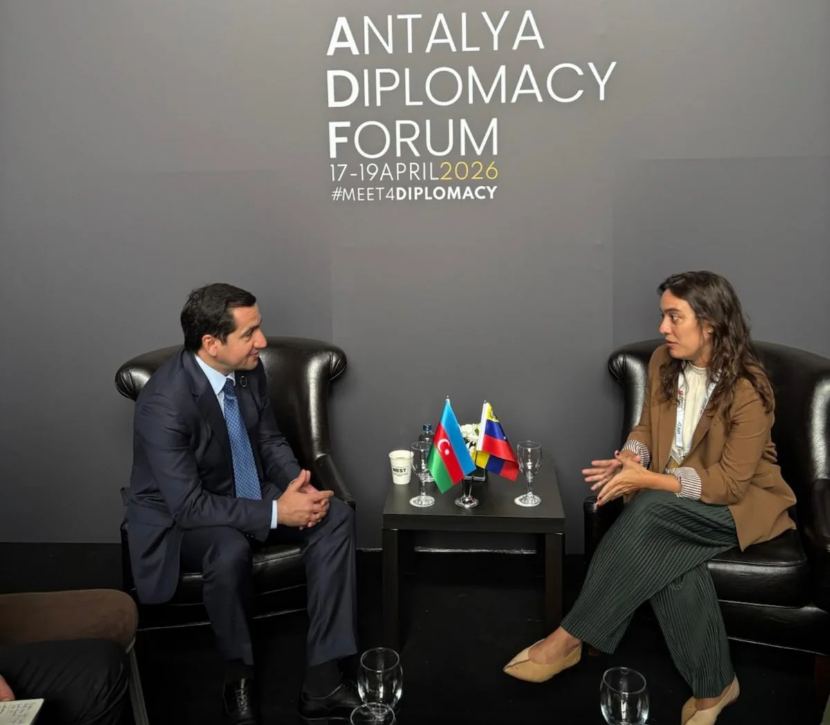 Hikmət Hacıyev Venesuelanın XİN rəhbərinin müavini ilə görüşüb