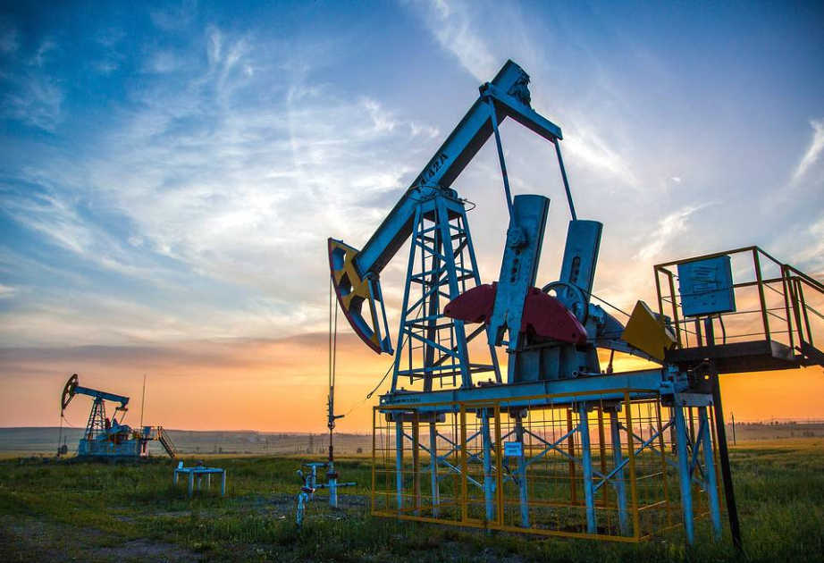 Bolqarıstan Azərbaycandan xam neft tədarükünü artırıb