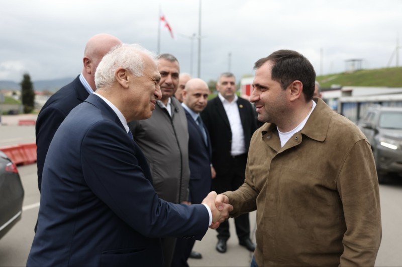 Ermənistanın müdafiə naziri Gürcüstana səfər edib