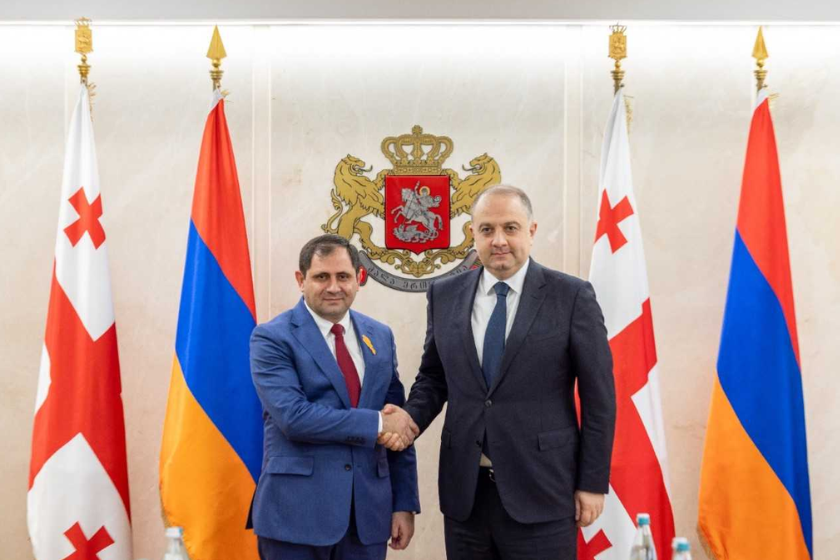 Ermənistan  Müdafiə naziri Gürcüstana səfər edib