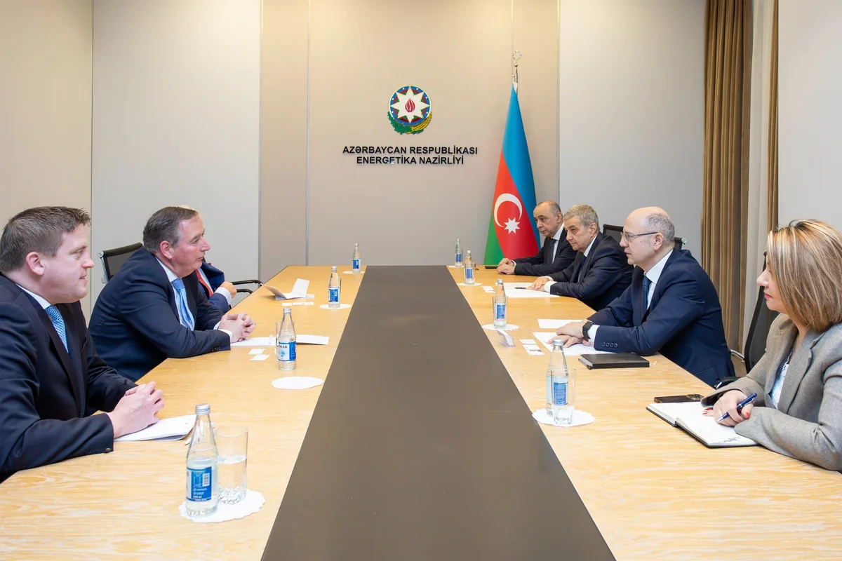 Azərbaycan İrlandiya ilə enerji tərəfdaşlığını müzakirə edib
