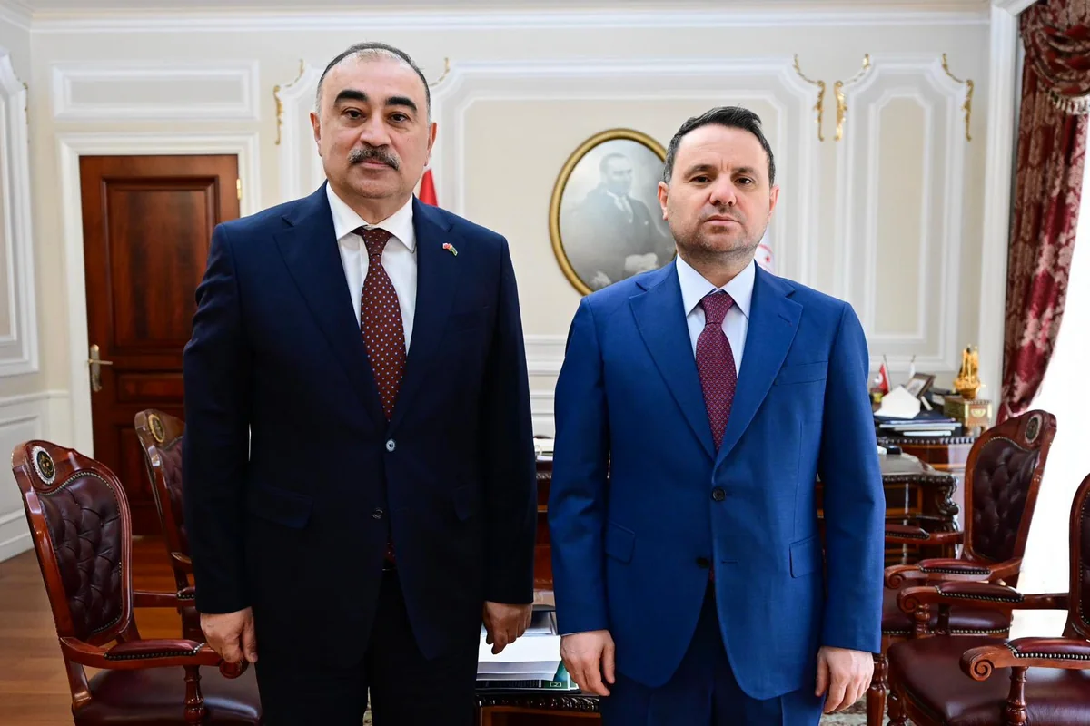 Rəşad Məmmədov Türkiyənin ədliyyə naziri ilə görüşüb