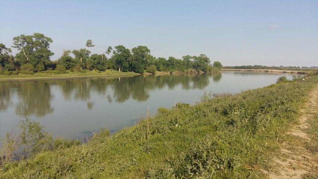 ADSEA Kür çayının daşması ilə bağlı yayılmış məlumatlara aydınlıq gətirib