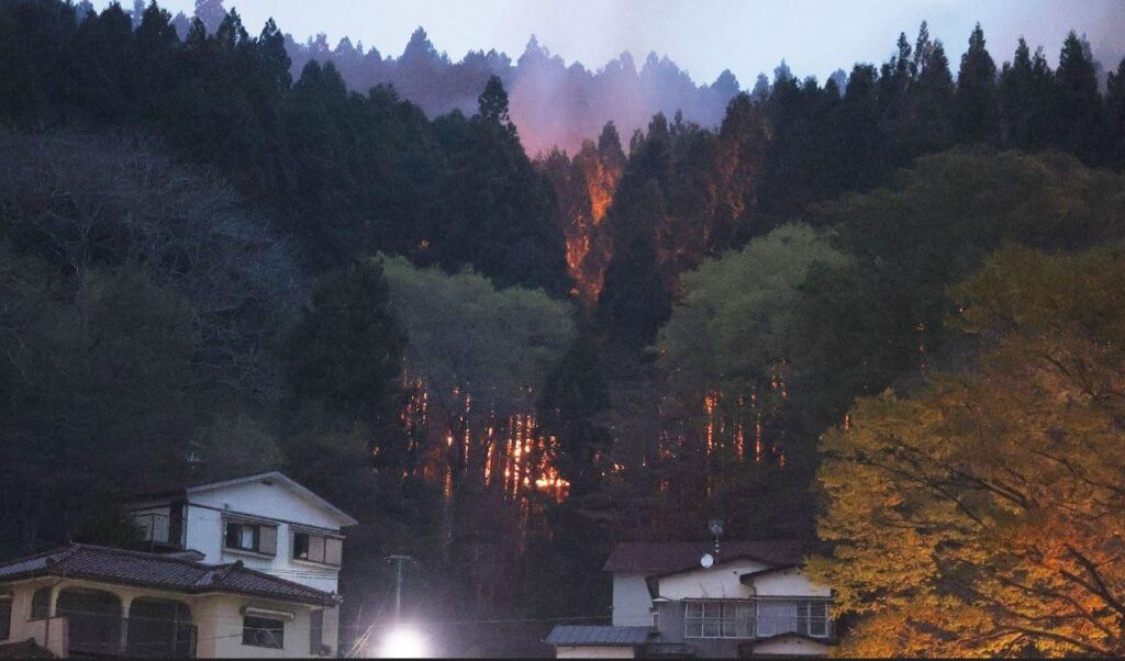 Yaponiyada meşə yanğınları 400 hektar ərazini əhatə edib