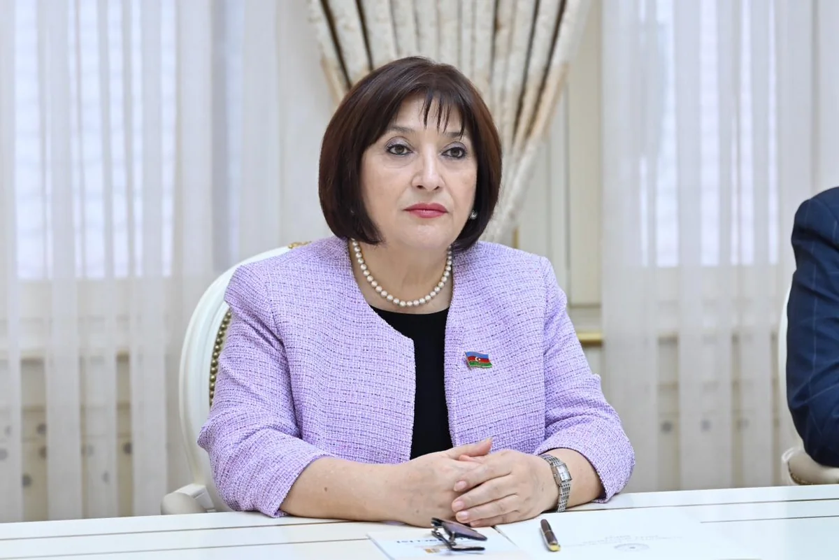 Sədr: Milli Məclisin deputatları PAİ-də daha da fəallaşıblar