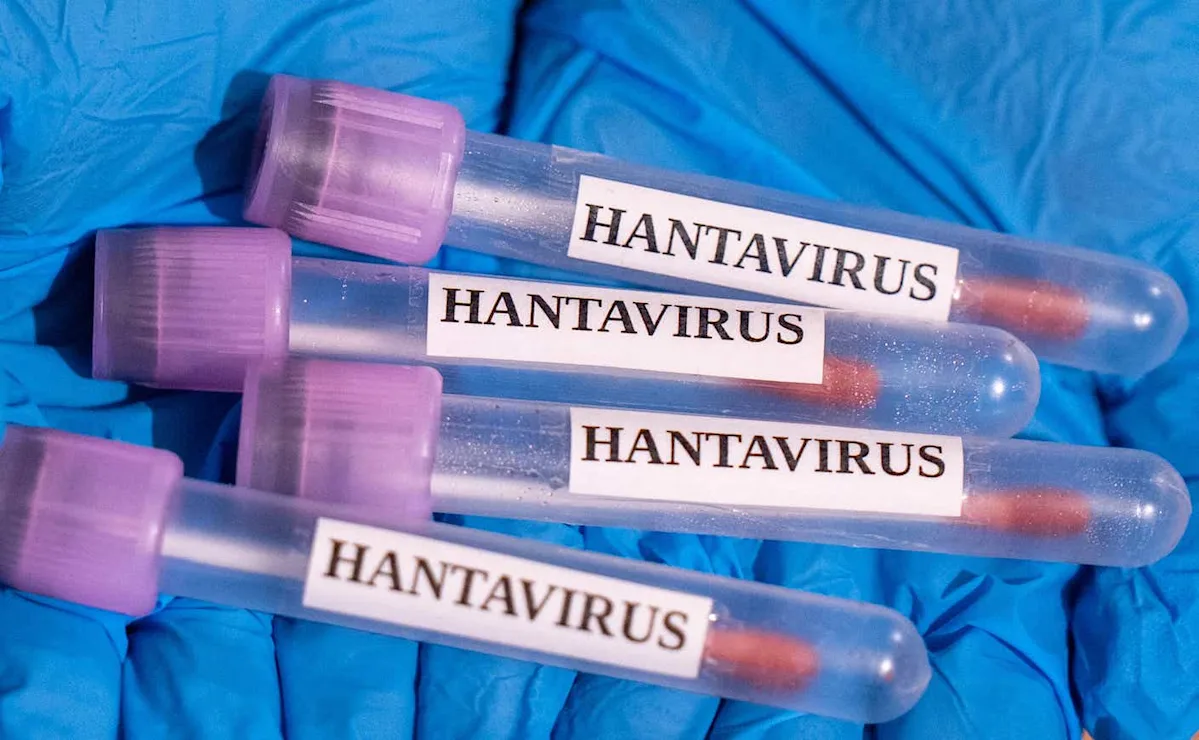 ÜST: Kruiz gəmisində 9 nəfər hantavirusa yoluxub