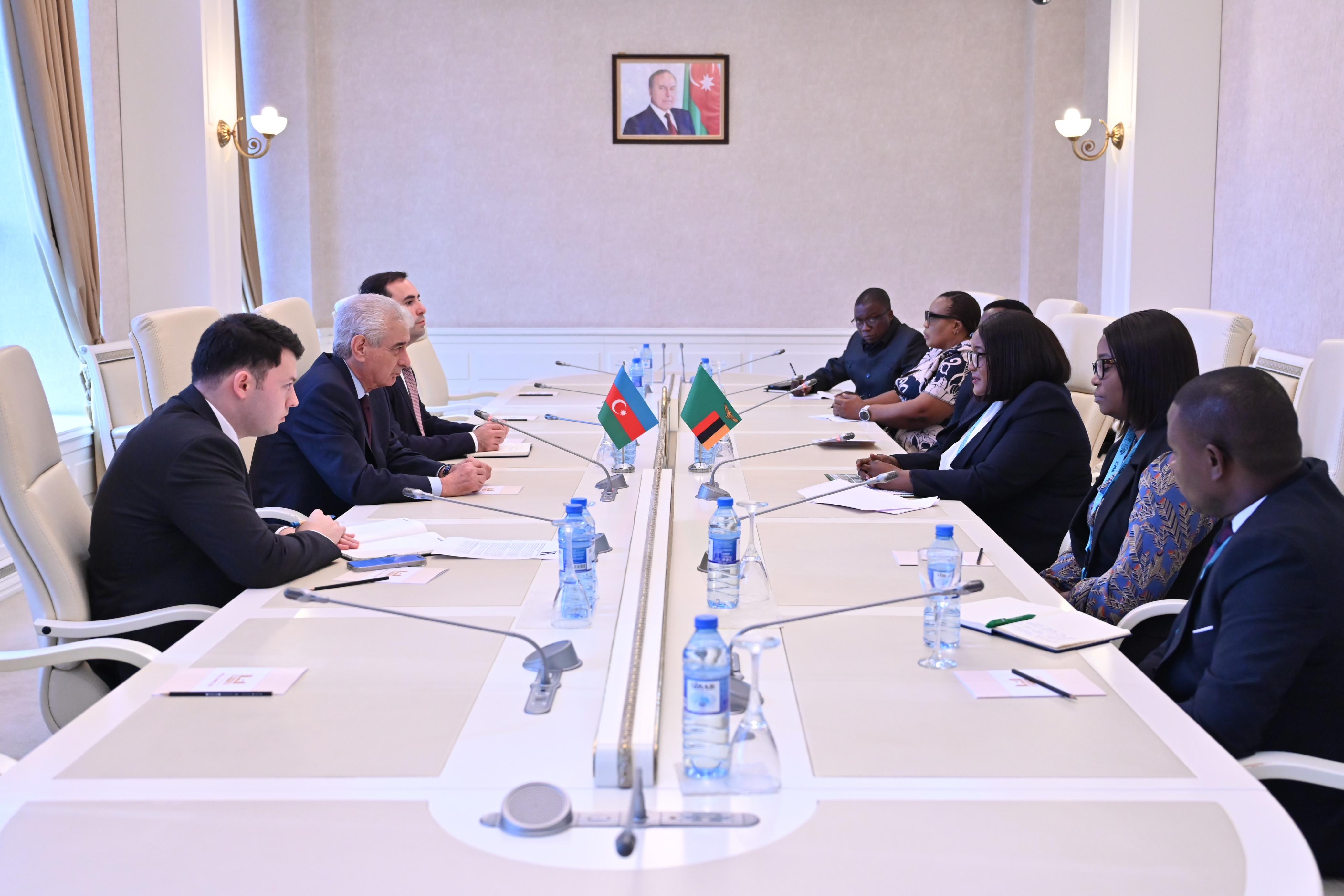 Zambiya Milli Assambleyasının nümayəndə heyəti Milli Məclisdə olub