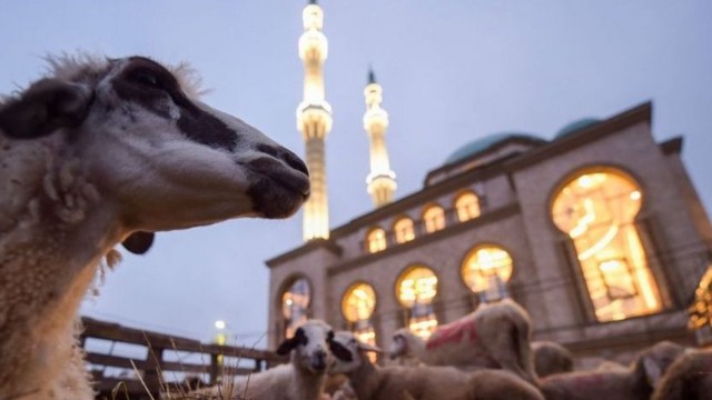 Azərbaycanda Qurban bayramı qeyd edilir
