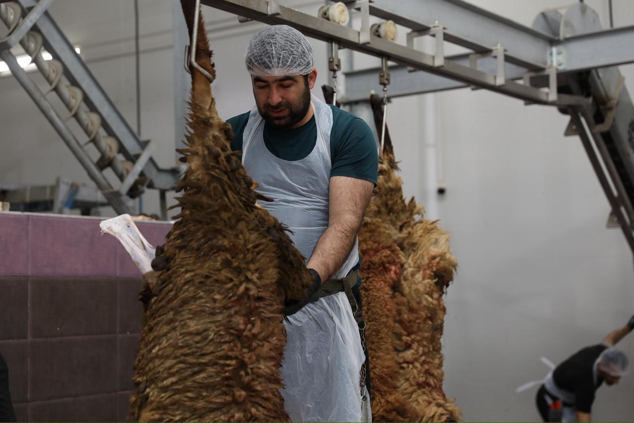 Qurban bayramı günlərində ölkə üzrə 134 ünvanda satış və kəsim xidmətləri göstərilir