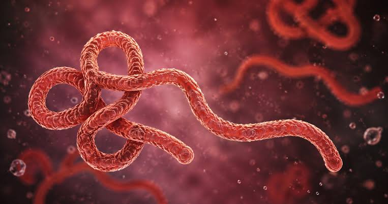 Dörd nəfər Ebola virusuna yoluxma şübhəsi ilə təcrid olunub