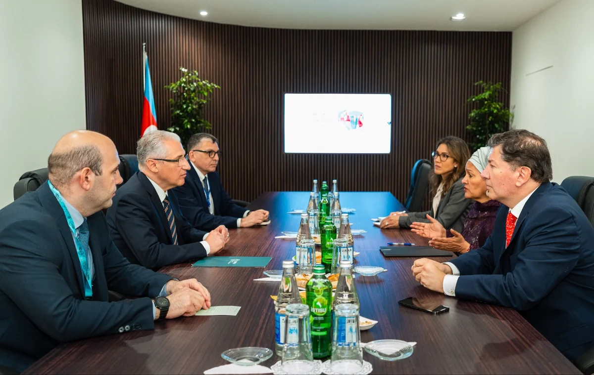 Amina Mohammed və Muxtar Babayev iqlim məsələlərini müzakirə ediblər