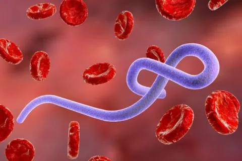 Avstraliya Afrikada Ebola epidemiyası ilə mübarizə üçün 3,2 milyon dollar bağışlayacaq