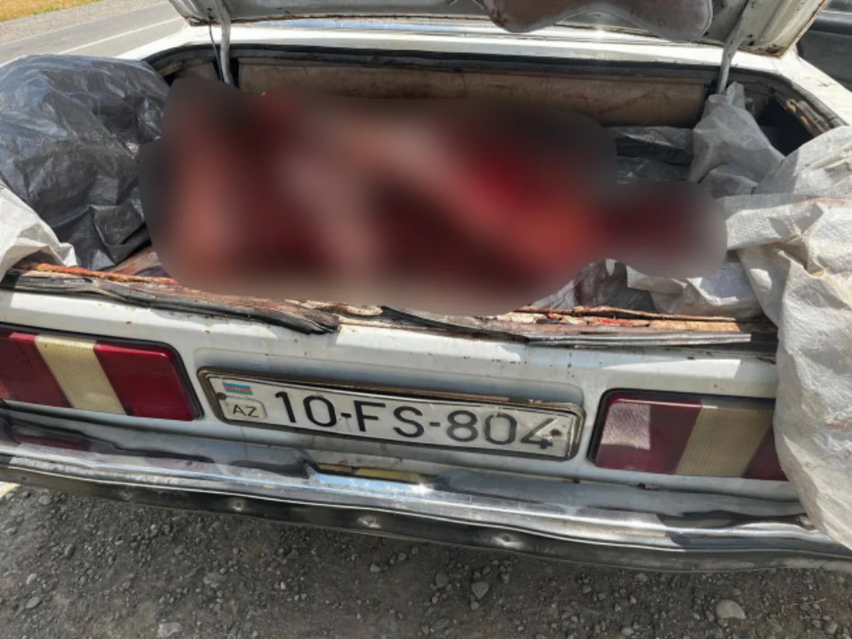Füzulidə satılmağa aparılan 120 kq yararsız ət aşkarlanıb