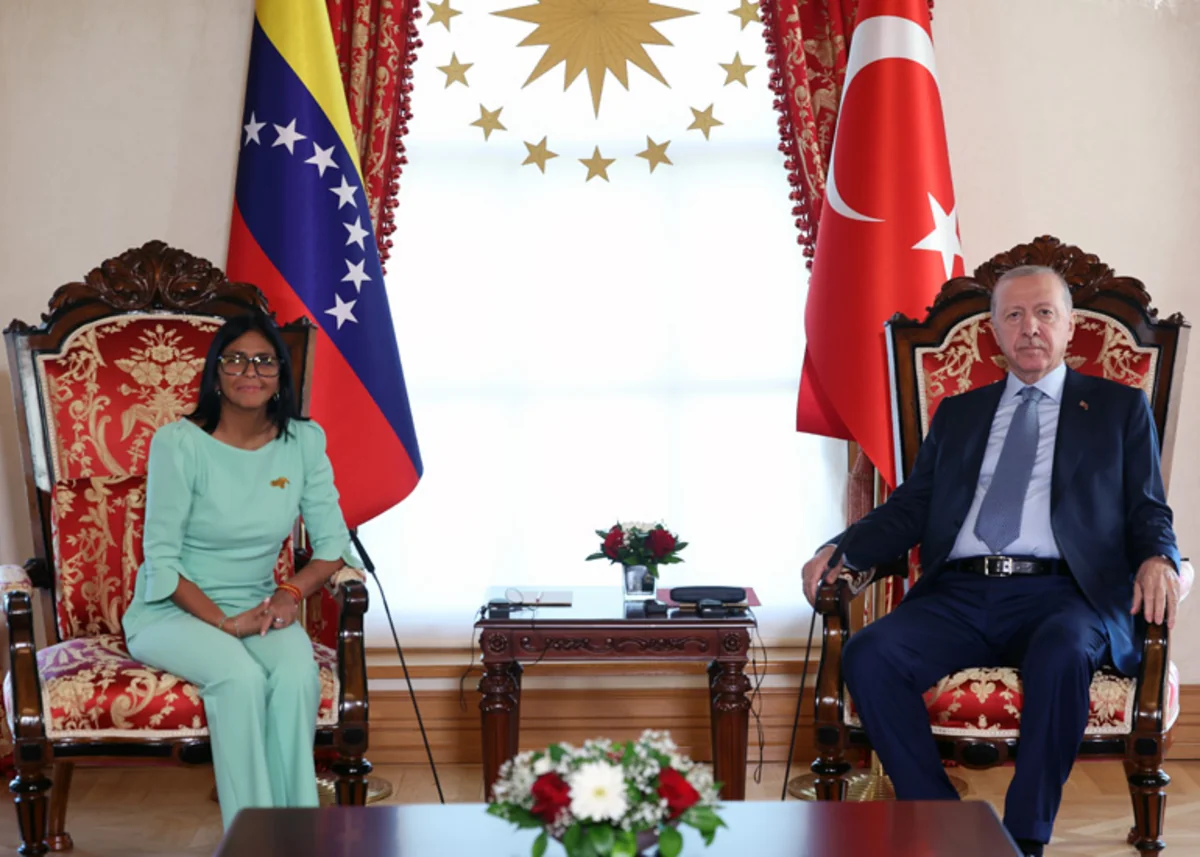 Ərdoğan Delsi Rodriqesi qəbul edib