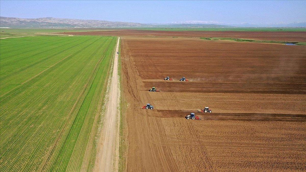 Torpaq sahələri üzərində hüquqların özəl tərəfdaşa ötürülməsi qaydası qəbul edilib 