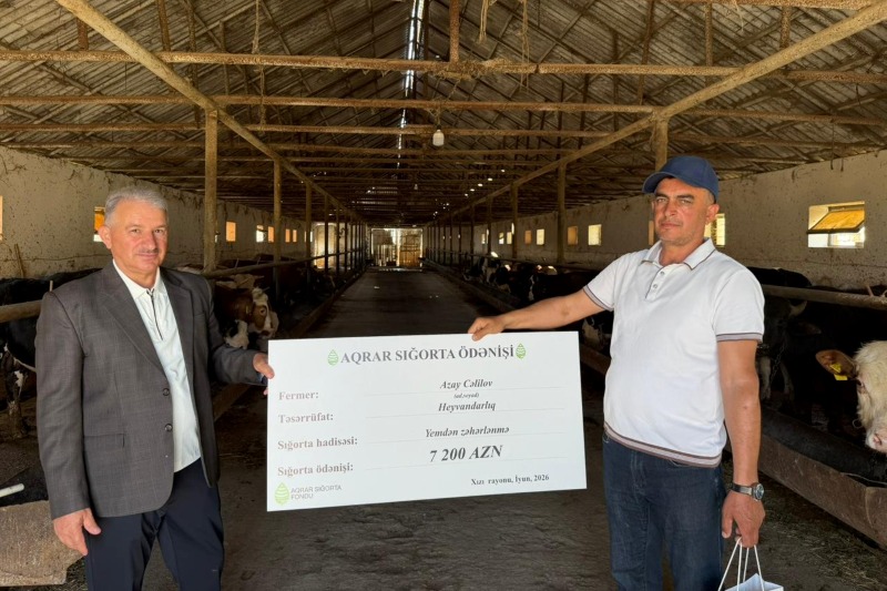 Xaçmaz və Xızıda təsərrüfatlara dəymiş zərərlər üzrə sığorta ödənişləri həyata keçirilib
