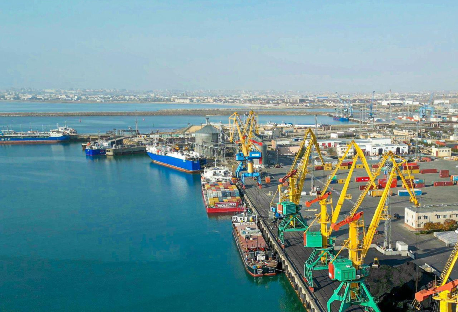 Azərbaycan ilə Avstriya arasında ticarət 40 milyon dolları ötüb