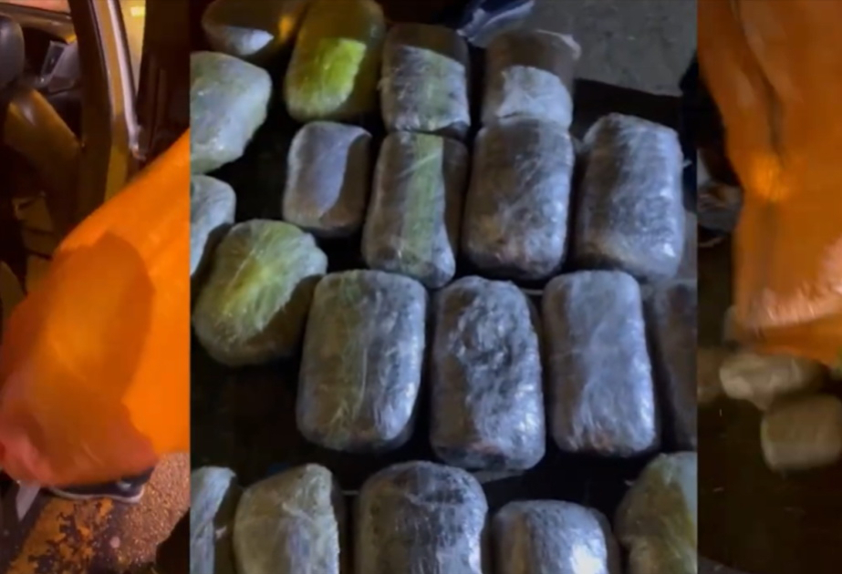 3,5 kiloqramdan artıq narkotik vasitə, 8 mindən çox çətənə kolu aşkarlanıb
