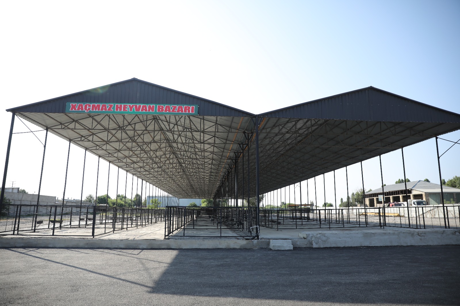 Xaçmazda heyvan satışı bazarı fəaliyyətə başlayıb