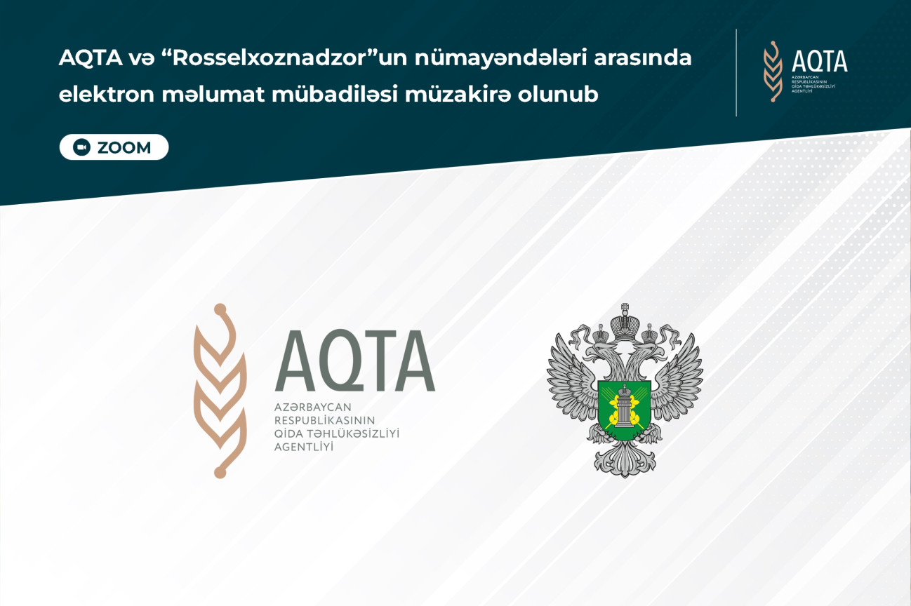 Azərbaycan ilə Rusiya arasında elektron məlumat mübadiləsi müzakirə olunub