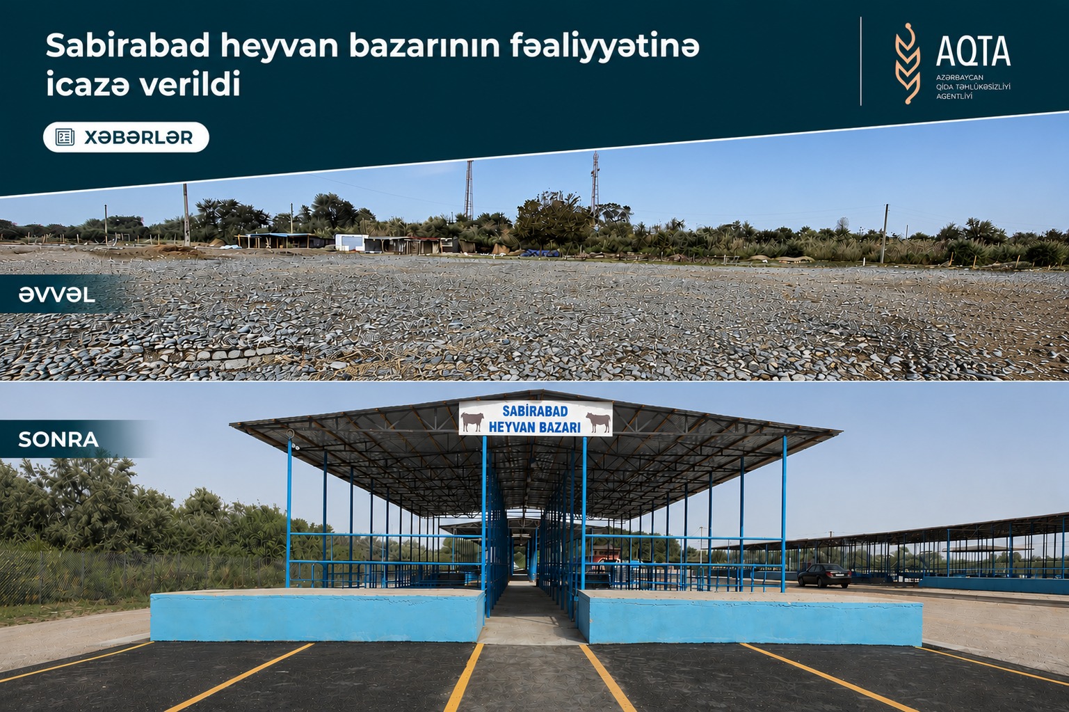 Sabirabad heyvan satışı bazarı fəaliyyətə başlayıb