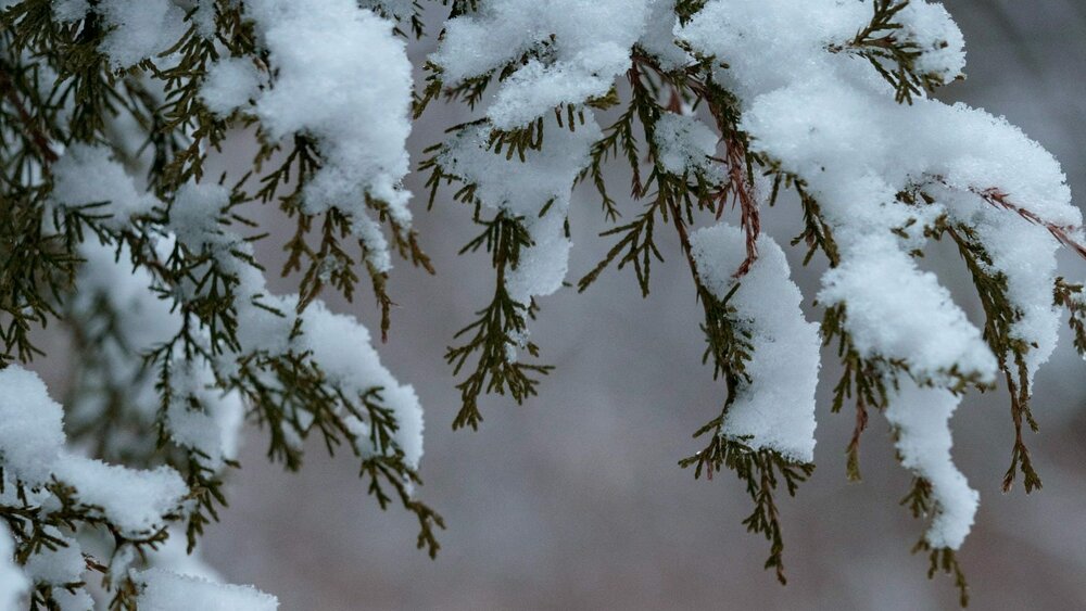 Ölkə ərazisində yağış və qar yağacaq - XƏBƏRDARLIQ