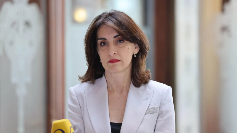 Gürcüstan XİN Avropa İttifaqının tətbiq etdiyi ikili standartları tənqid edib