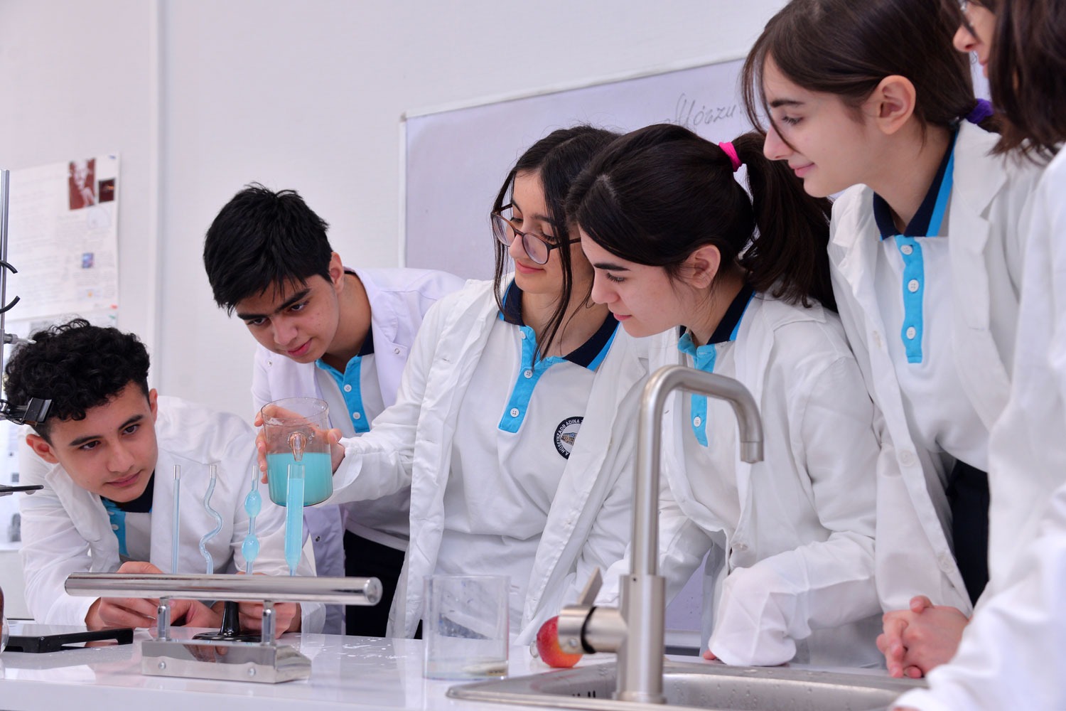 Təmayül sinifdə təhsil alan şagirdlərin sayı açıqlanıb