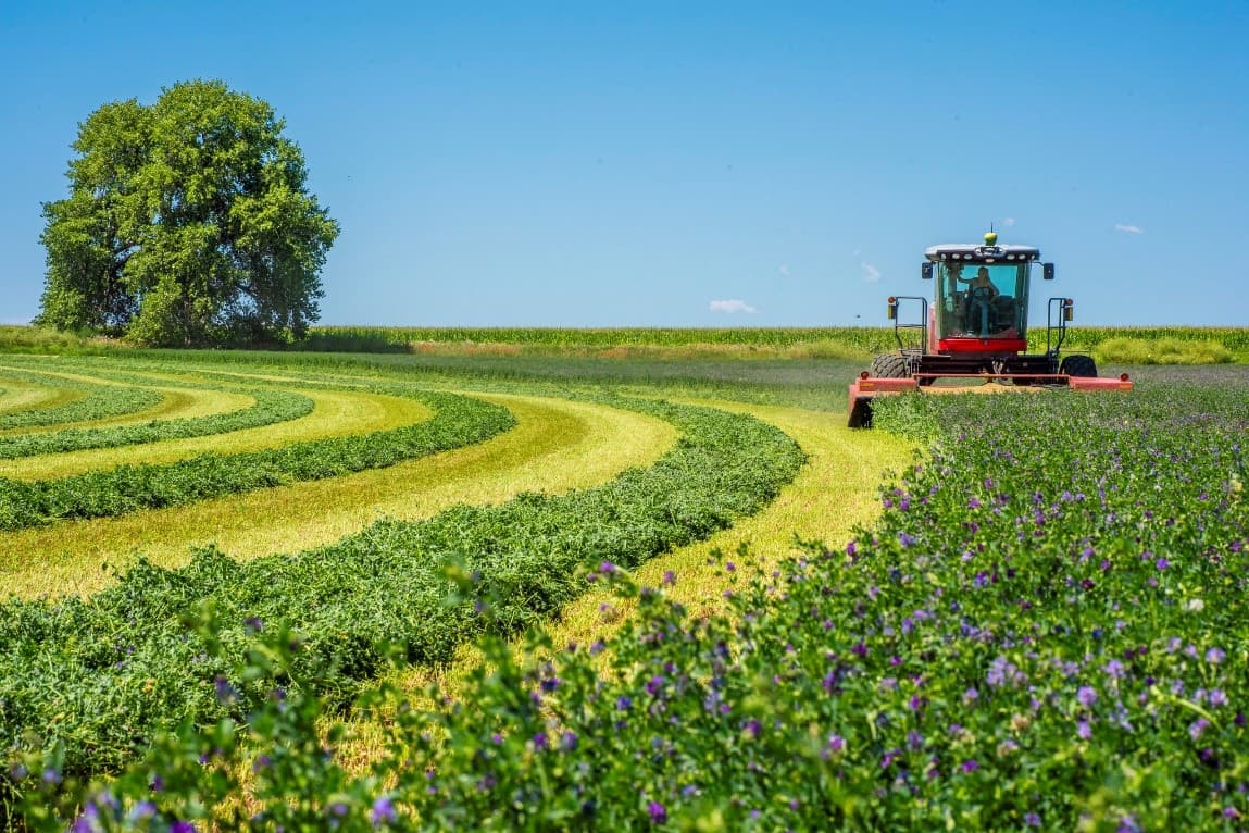 Əkin sahələrinin yandırılmasına görə inzibati həbs müəyyənləşir
