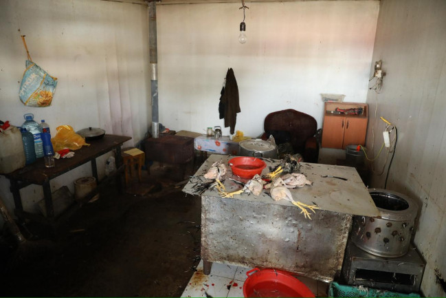 Sabunçu bazarı və bazarətrafı qida obyektlərində reyd keçirilib