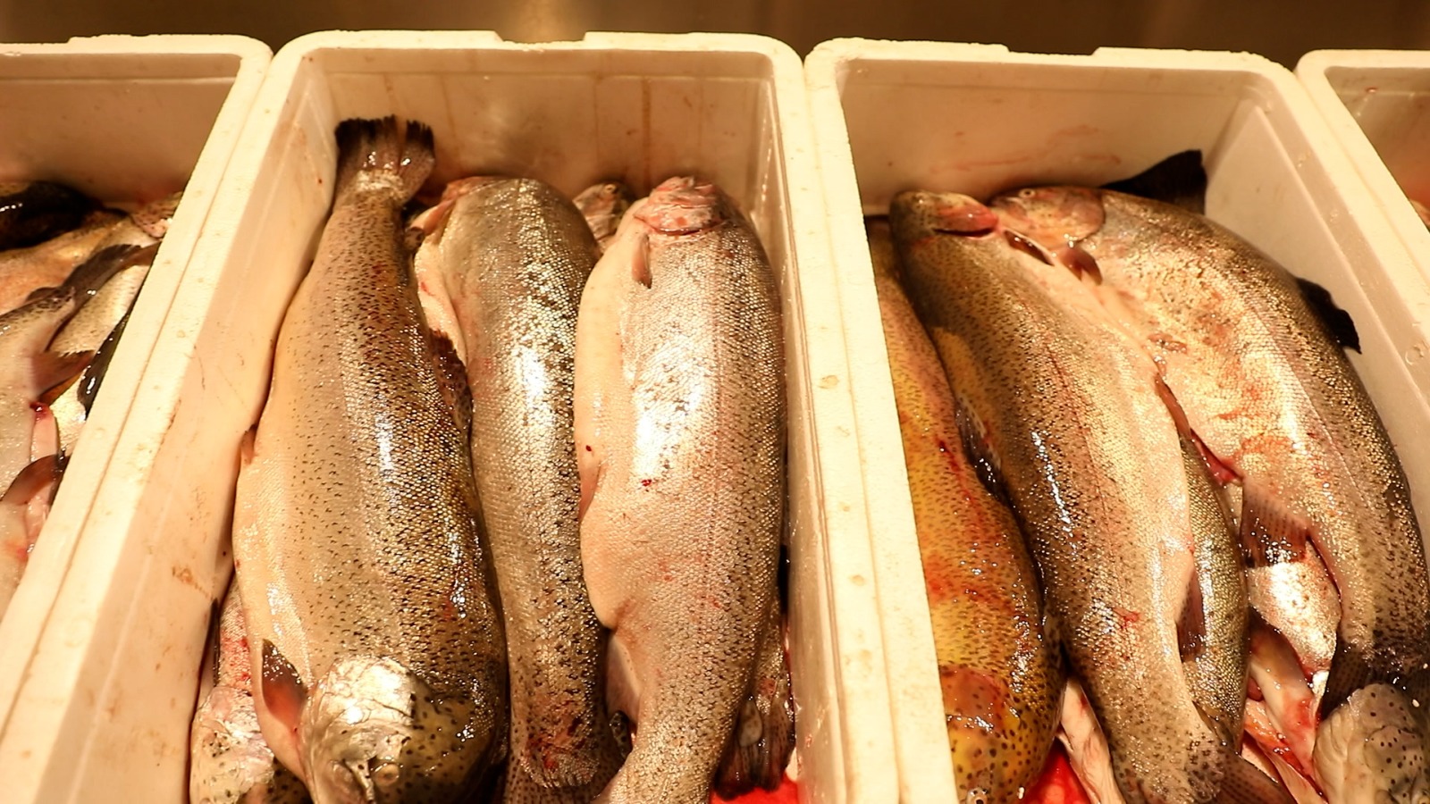 8-ci km bazarında balıq kürüsü satışında ciddi nöqsanlar aşkarlanıb